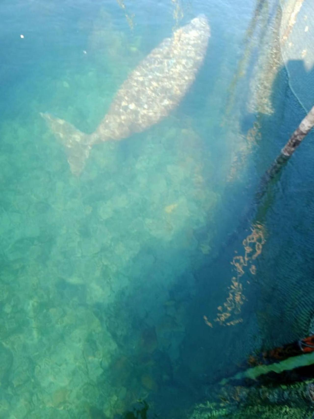 Pondok Wisata Noah Likupang Luaran gambar